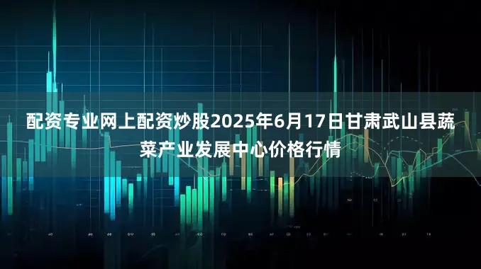 配资专业网上配资炒股2025年6月17日甘肃武山县蔬菜产业发展中心价格行情